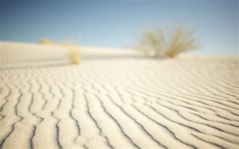 Desert Sand Lines Makro Wallpaper Coolwallpapersme