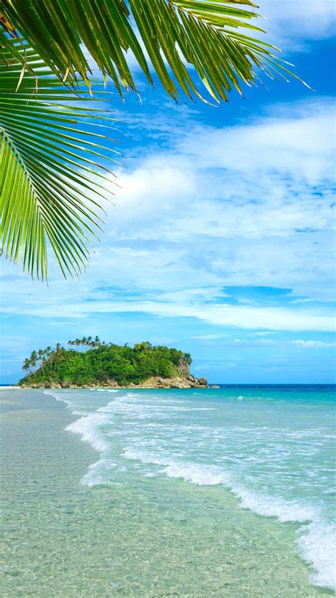 Blue Sea And Sky Wallpaper Beach Coast Palm Trees Tropical Water