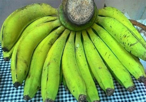 It has a dominating banana flavour, with additional tropical fruit nuances, and a bright green colour. Berikut Adalah Jenis Jenis Pisang Untuk Keripik - Jenis ...