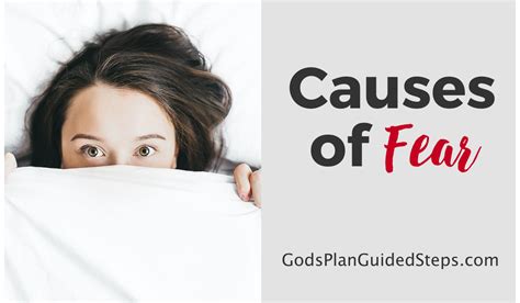 Causes Of Fear 4 Types And Biblical Examples Gods Plan Guided Steps