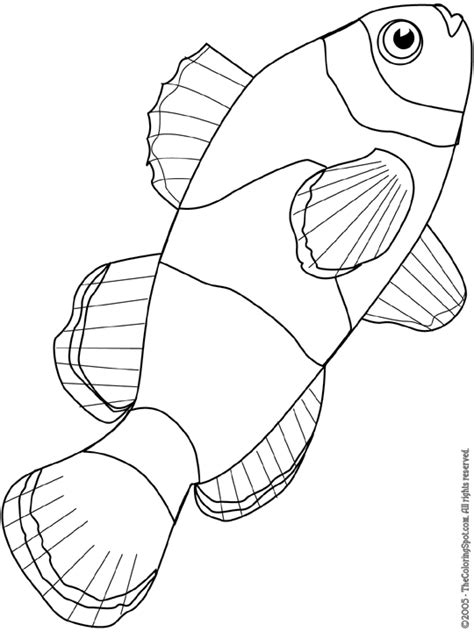 Okay,you know the clownfish is the most beautiful marine fish in this planet. Clownfish Coloring Page | Audio Stories for Kids | Free ...