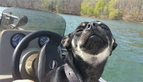 Everybody Look At Me ‘cause I’m Sailing On A Boat R Eyebleach