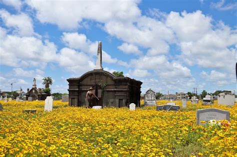 We did not find results for: Is Galveston's Old City Cemetery the Most Haunted ...