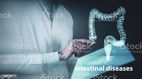 Radiographs Of Human Intestines Holographic Scan Projection 3d
