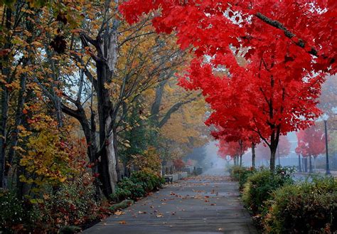 20 Stunning Photos Of Oregons Fall Foliage That Oregon Life