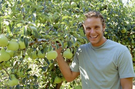 Sweet cherry trees like the black tartarian cherry and bing cherries are too cold sensitive for planting in wisconsin. Fruit Trees That Will Grow in Wisconsin | Hunker