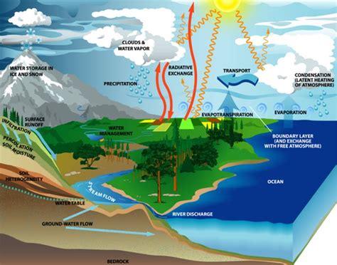 For other cycling related terms (besides parts) see glossary of cycling. The Water Cycle: What are the four main parts of the water ...