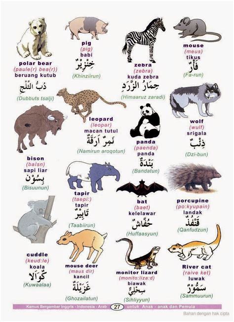 Salah satu bentuk rasa syukur ketika berjumpa dengan hari kelahiran adalah dengan memberikan doa ulang. Kenalilah Bahasa Arab: Haiwan- hawan dalam Bahasa Arab ...