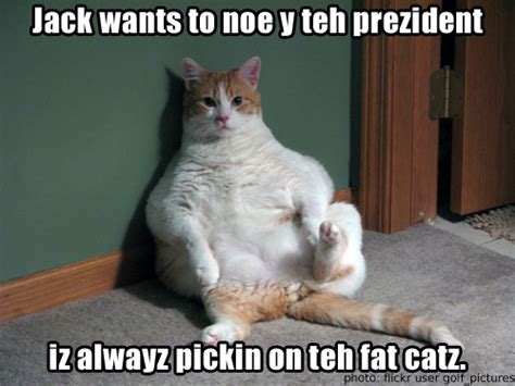 Funny Quotes Fat Cat Quotesgram