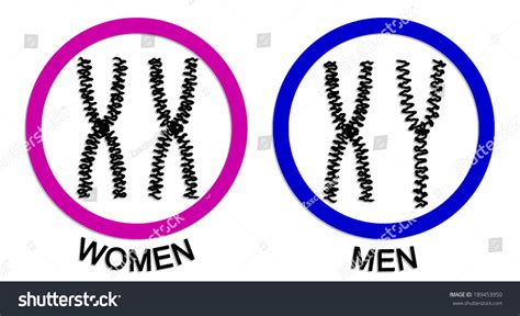 1 568 Imágenes De Male And Female Chromosomes Imágenes Fotos Y Vectores De Stock Shutterstock