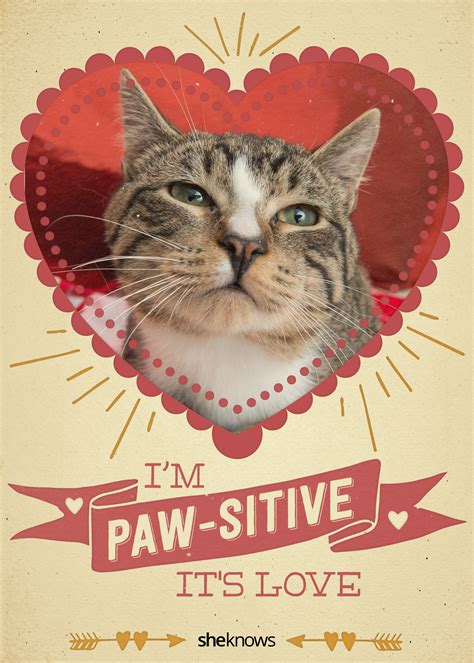 Check spelling or type a new query. 12 Kitty-cat Valentine's Day cards that will make you aww - SheKnows