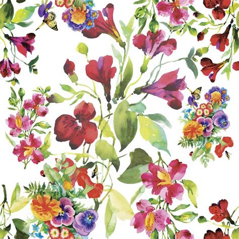 Beautiful Flowers Watercolor Painting Stock Illustrations 61624