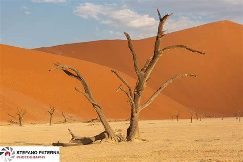 Desert Landscape Deadvlei Namibia