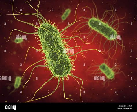 Germs High Resolution Stock Photography And Images Alamy