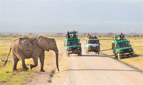 Kenia Urlaub Mit Safari Im 4 Sterne Hotel Direkt Am Strand Urlaubsfritzen