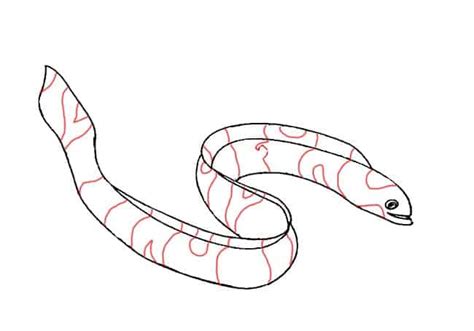 How To Draw An Eel Step By Step Part 3 Easy Animals 2 Draw