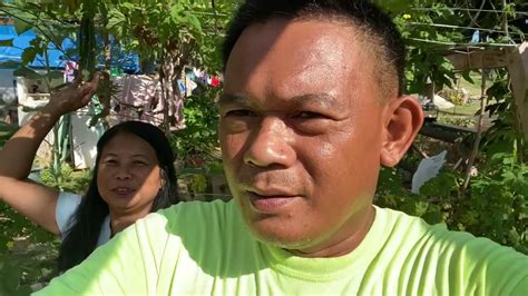 Tulong o abuloy sa namatay. Simpleng Buhay Sa Saipan-Namatay Dahil Sa Langgam - YouTube