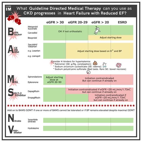 Guideline Directed Medical Therapy Part Ii 5 Pearls Segment Core Im