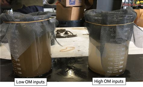 What Is “soil Health” Anyway Soil Health Washington State University