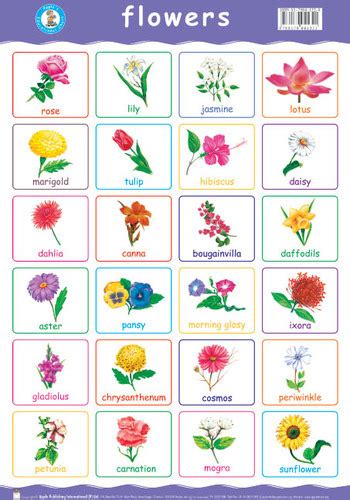 Most hindu families prefer to select a name based on the planets and stars as it helps to improve the various aspect of personality of the child and also sooths the weak planetary aspects. Dahlia Flower Meaning In Kannada - katadynmicropurdiscount