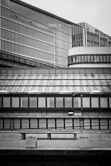 You can collect seeds from the flowers in the summer and save them in a dry tightly sealed container. Zenfolio | DAMP-PICS | Around Paddington Basin