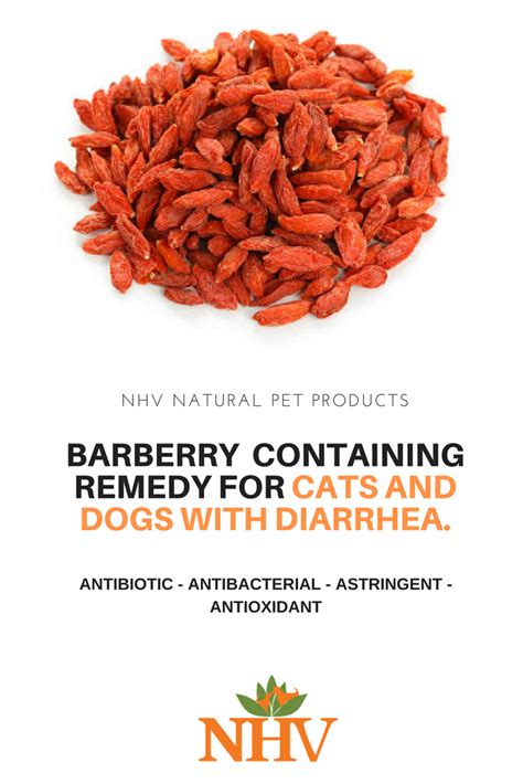 May 27, 2021 · diarrhea treatment: Barberry containing remedy for cats and dogs with diarrhea ...