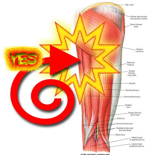 Burning Pain In Hip Area Right Inner Thigh Pain During Pregnancy Pain