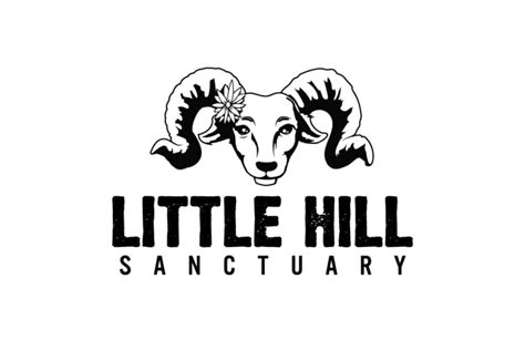 little hill sanctuary the vegan stay