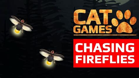 The table is laid out into six sections, each with a potential crime position and two types of supporting evidence. CAT GAMES - 😺 CHASING FIREFLIES (ENTERTAINMENT VIDEOS FOR ...