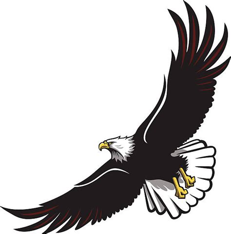 Download Eagle Clip Art, Vector Images & Illustrations - iStock