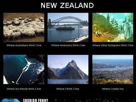 Lol The First One Is About Right 3 Million People And 60 Million Sheep In Nz All Of Our