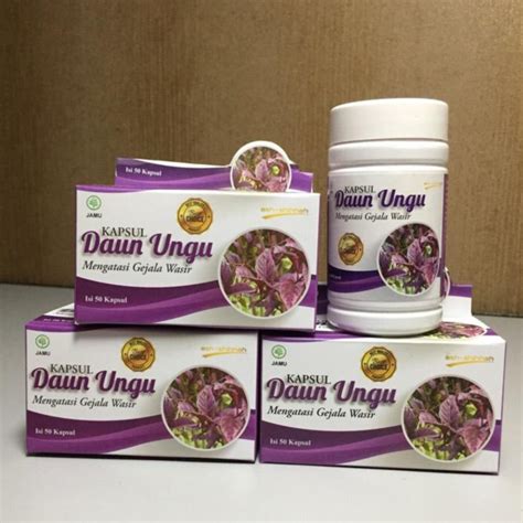 Kapsul Daun Ungu Ash Shihhah Herbal Original Shopee Indonesia