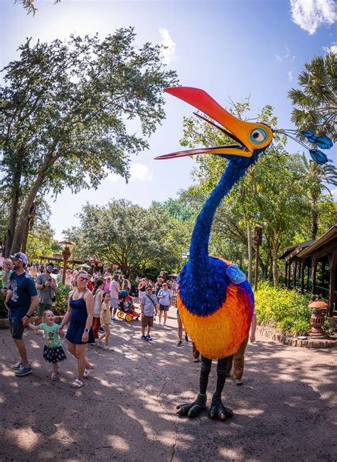 Best Animal Kingdom Attractions And Ride Guide Disney Tourist Blog