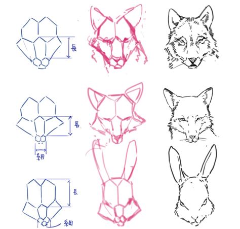 Как нарисовать голову лисы поэтапно