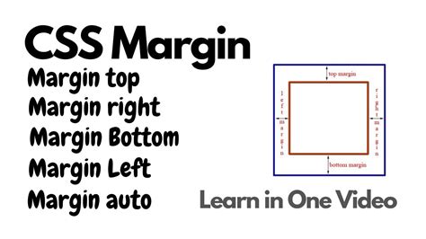 Learn Css Margin In One Video Margin Top Margin Bottom Margin Right