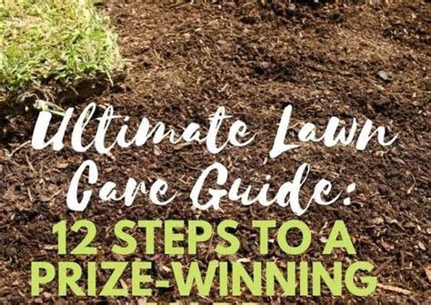 Lawn Care Tips For A Prize Winning Yard Bob Vila