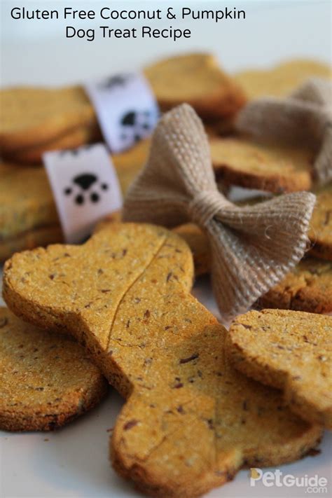 Perfect For Dogs Who Cant Eat Gluten This Recipe Combines Pureed