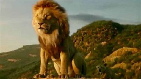 Disney Libera Novo Trailer Da Versão Live Action De Rei Leão Assista