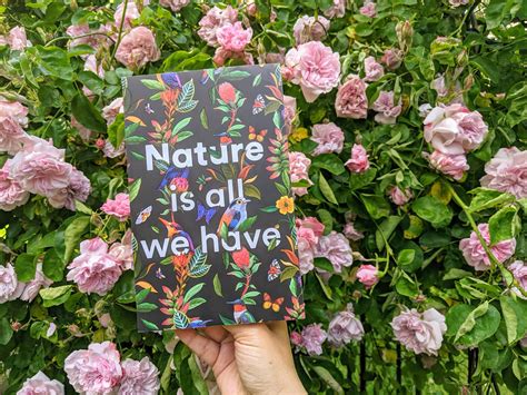 Page to Stage Reviews: Book review: Tapestries of Life by Anne Sverdrup