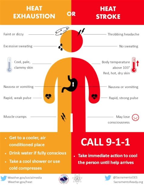Extreme Heat Precautions And Tips To Stay Cool Wsil Tv 3 Southern Illinois