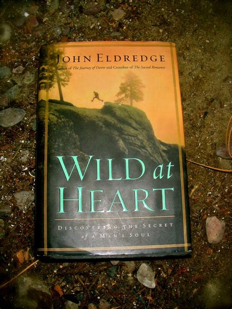 A Very Good Book Wild At Heart By John Eldredge Wild Hearts Good