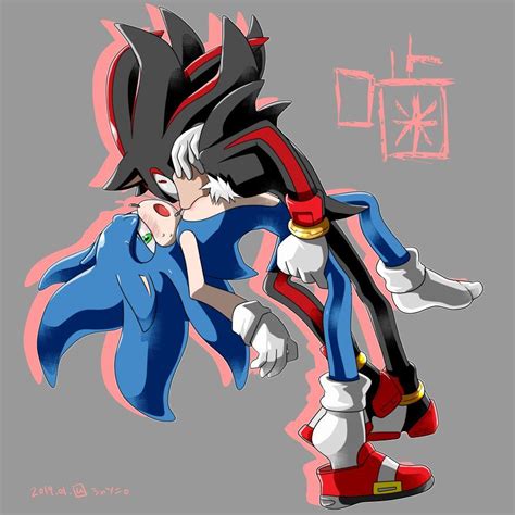 An Image Of Sonic The Hedge And Shadow The Hedge Character From Sonic