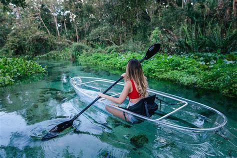 Clear Kayak Tours In Florida Get Up And Go Kayaking Must Do