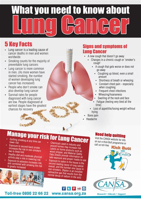 infographic what you need to know about lung cancer cansa the cancer association of south