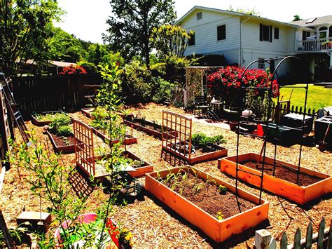 Laying Out Your Vegetable Garden Vegetable Garden Layout Design