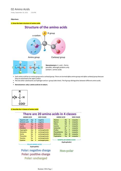Biochem 2280 02 Amino Acids Objectives 1 Draw The Basic Structure