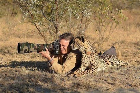 Photos Curious Animals Interrupting Wildlife Photographers Is The
