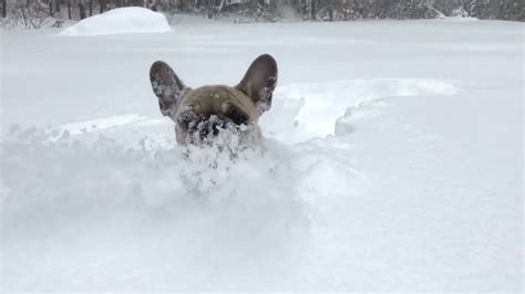 NOAA Increases Projected Snowfall Totals, Calls for Dangerous