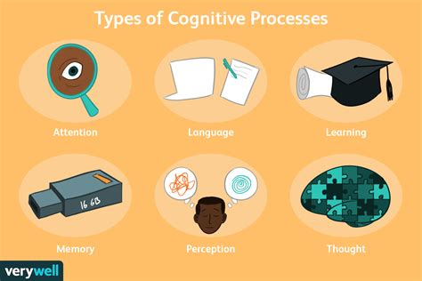Interesting Facts About Cognitive Psychology