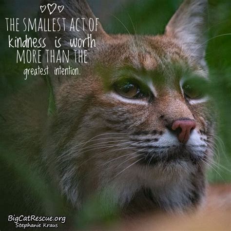 “the Smallest Act Of Kindness Is Worth More Than The Greatest Intention